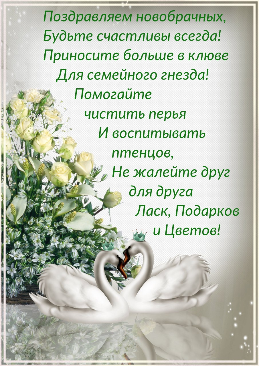 Поздравляем новобрачных, будьте счастливы всегда!