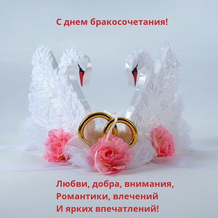 С днем бракосочетания! Любви, добра, внимания и ярких впечатлений!