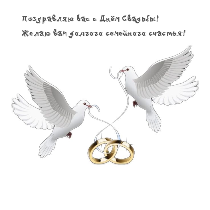 С Днём Свадьбы! Желаю вам долгого семейного счастья!