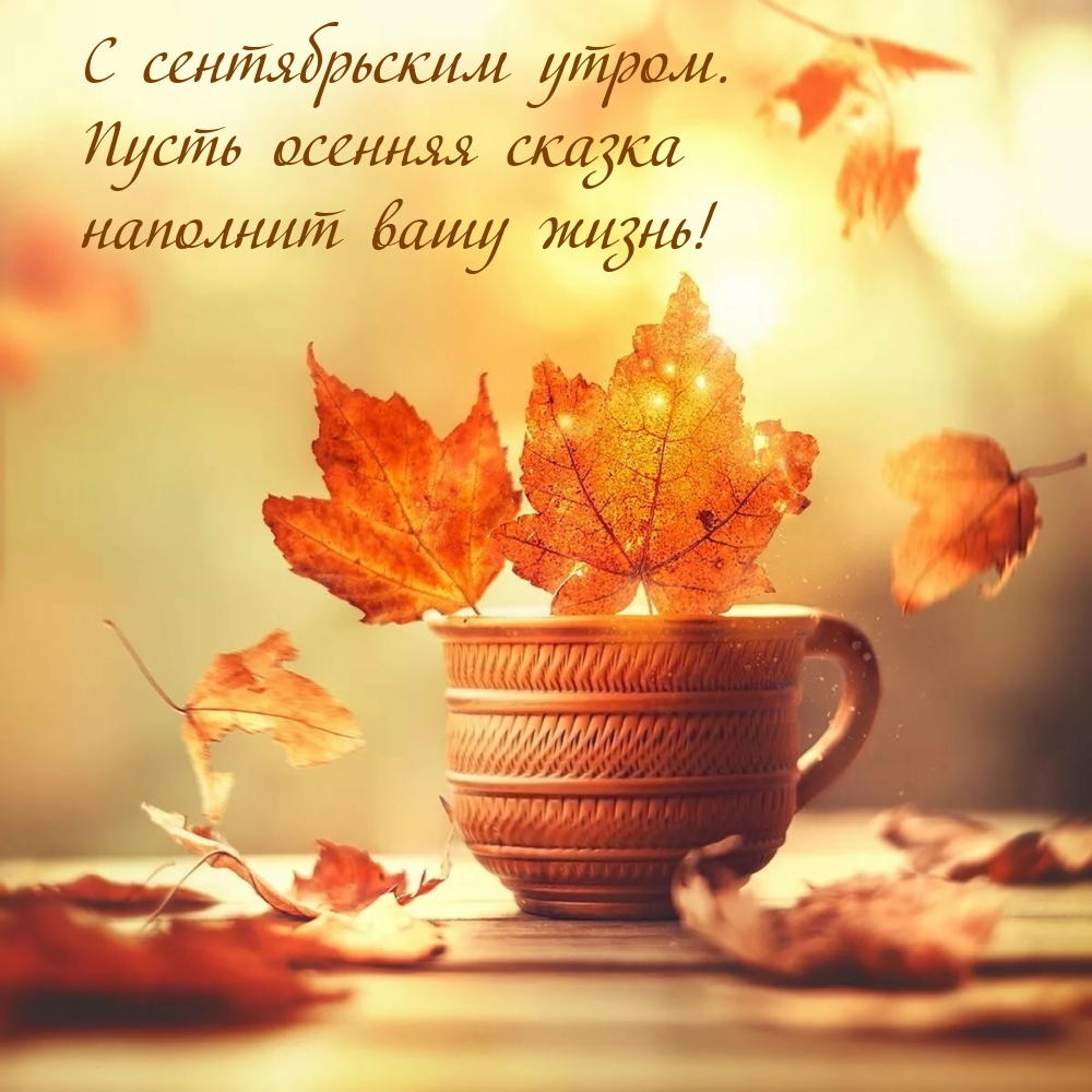 С сентябрьским утром. Пусть осенняя сказка наполнит вашу жизнь!