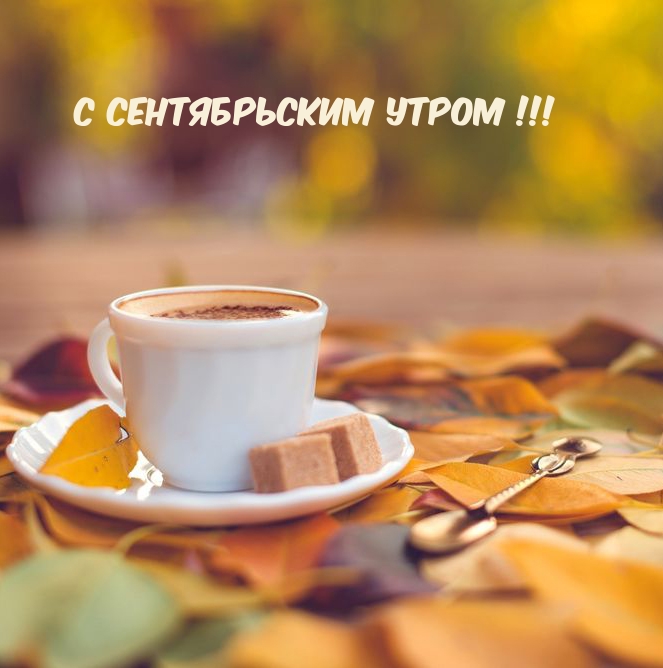 С сентябрьским утром!