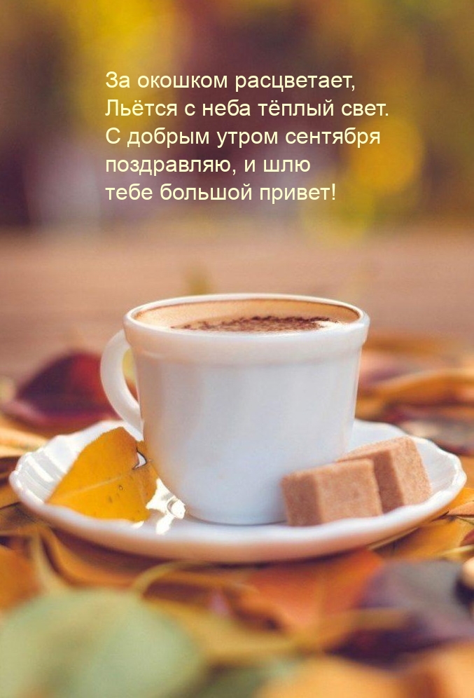 С добрым утром сентября, и шлю большой привет!