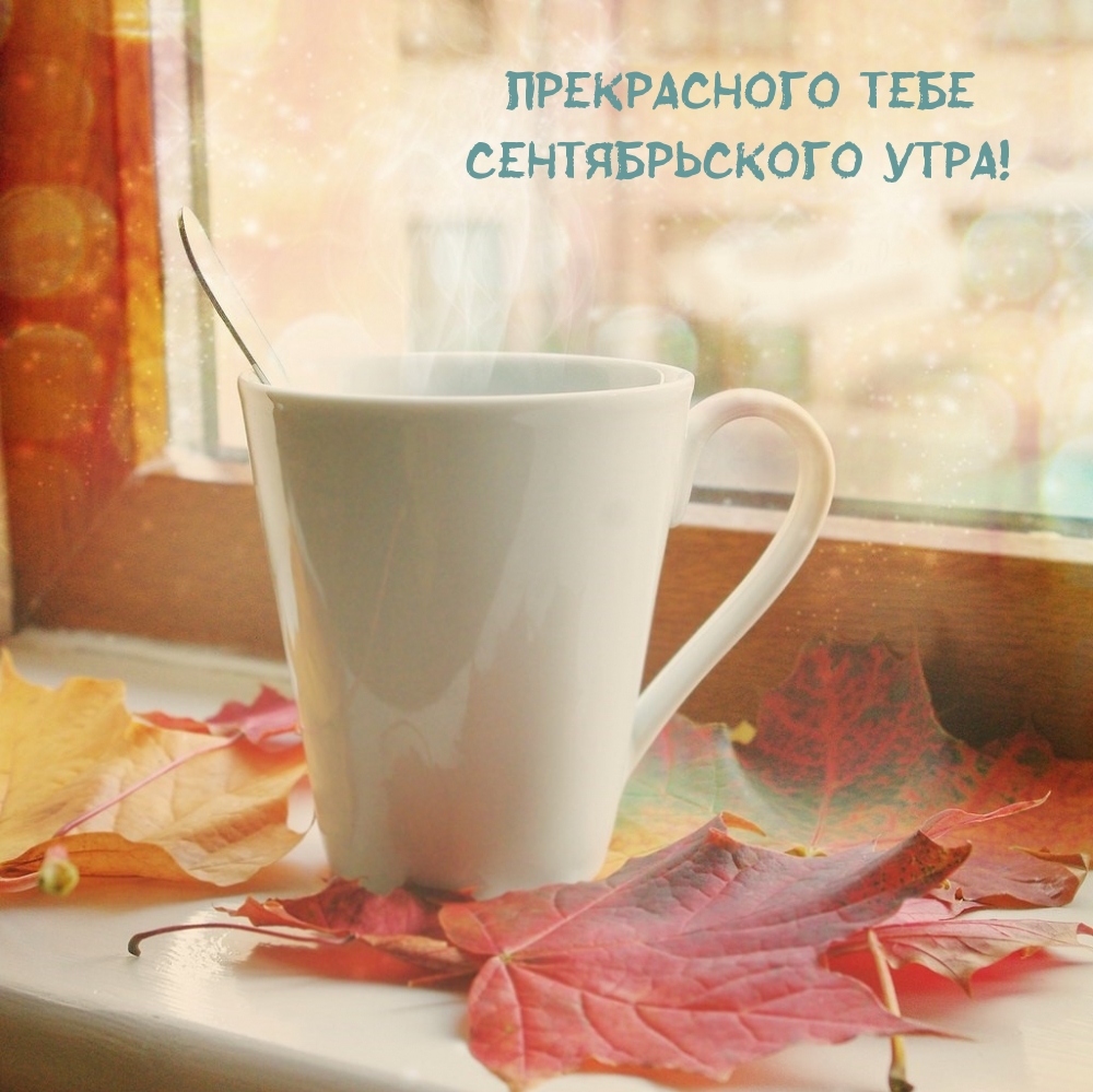 Прекрасного тебе сентябрьского утра!