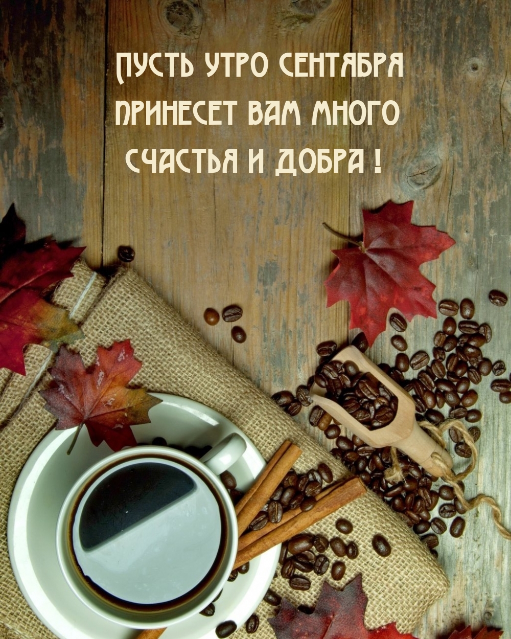 Пусть утро сентября принесет вам много счастья и добра!