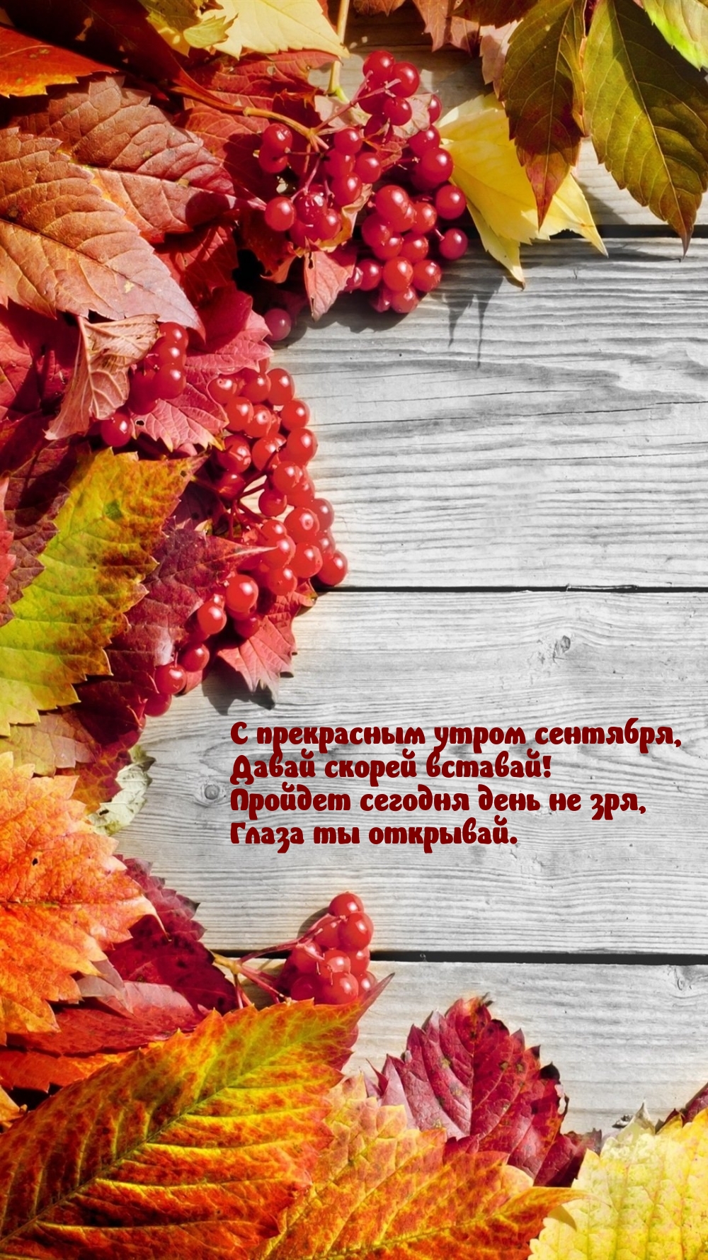 С прекрасным утром сентября, давай скорей вставай!