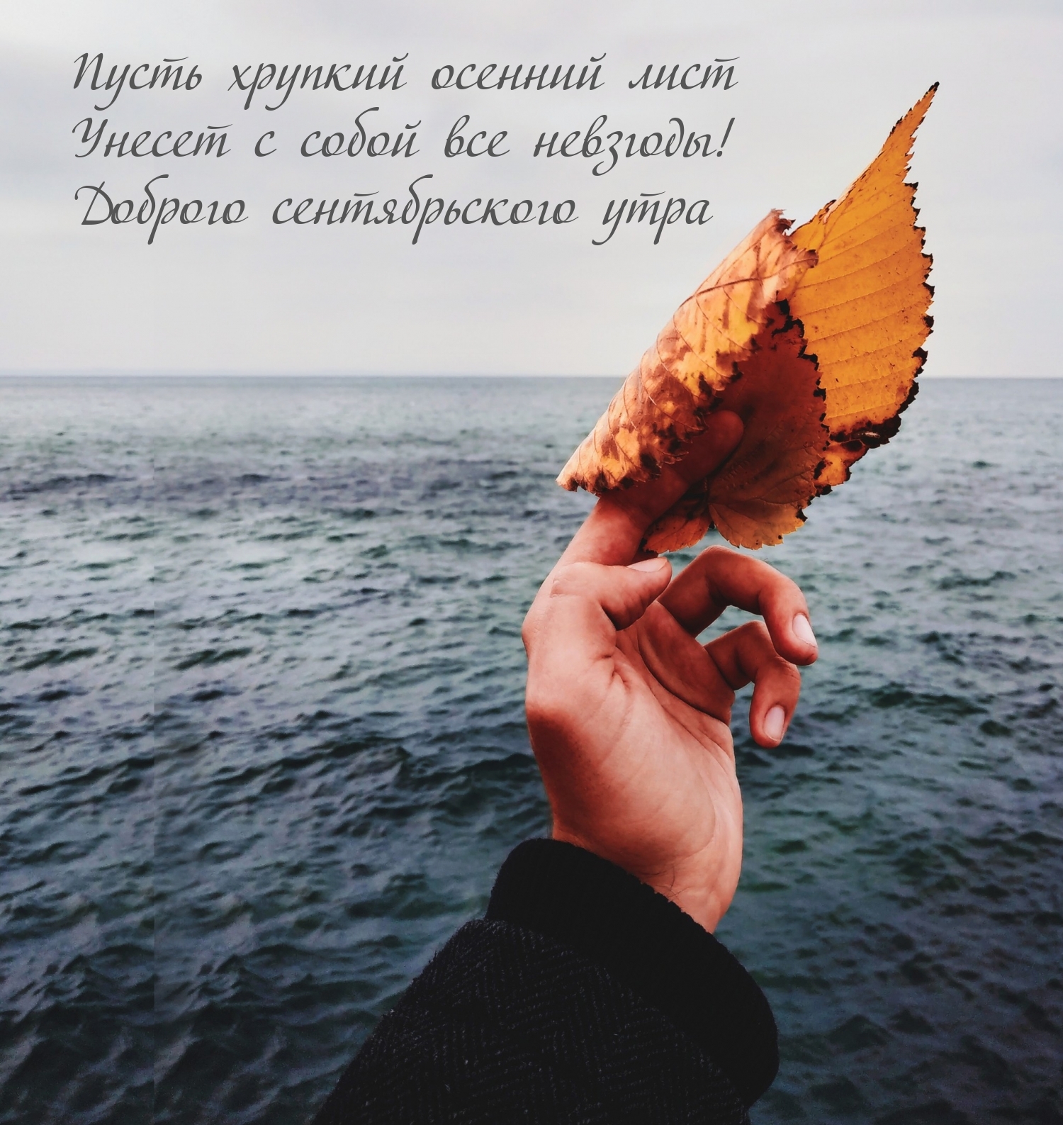 Доброго сентябрьского утра. Пусть осенний лист унесет невзгоды!