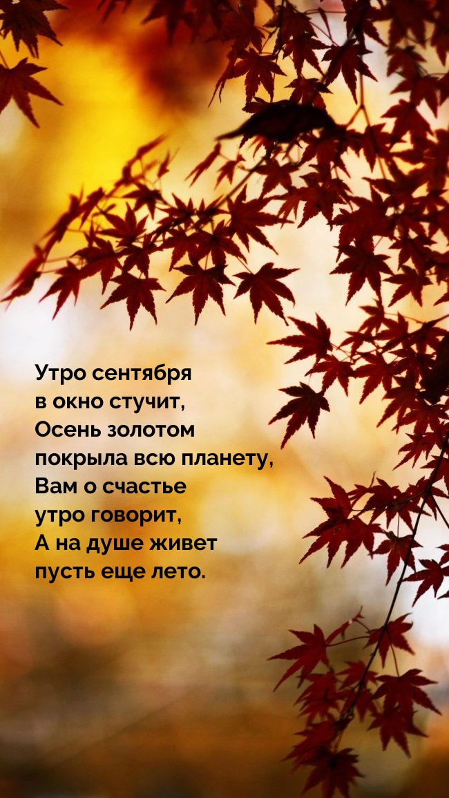 Утро сентября в окно стучит. На душе живет пусть еще лето.