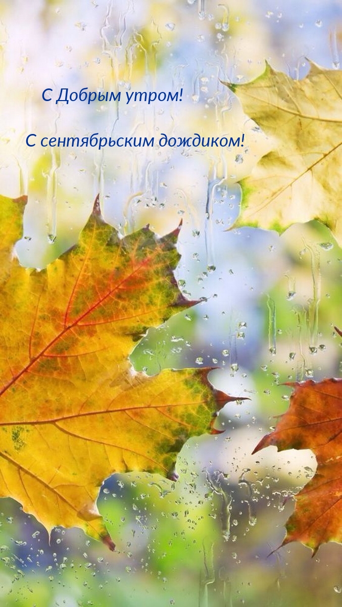 С Добрым утром! С сентябрьским дождиком!