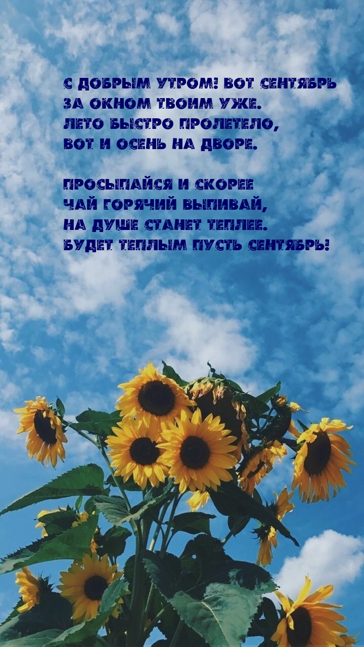 С добрым утром! Вот сентябрь за окном твоим уже.