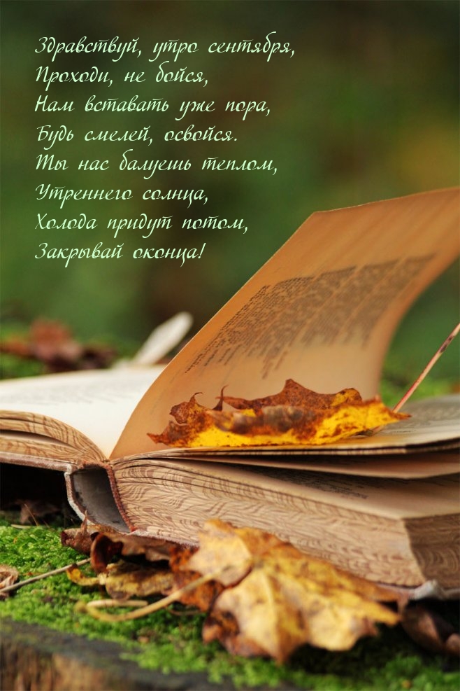 Здравствуй, утро сентября, проходи, не бойся
