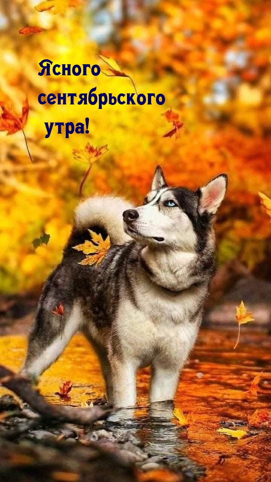 Ясного сентябрьского утра!