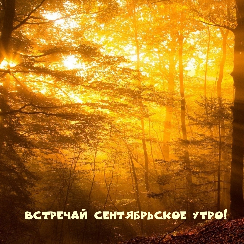 Встречай сентябрьское утро!