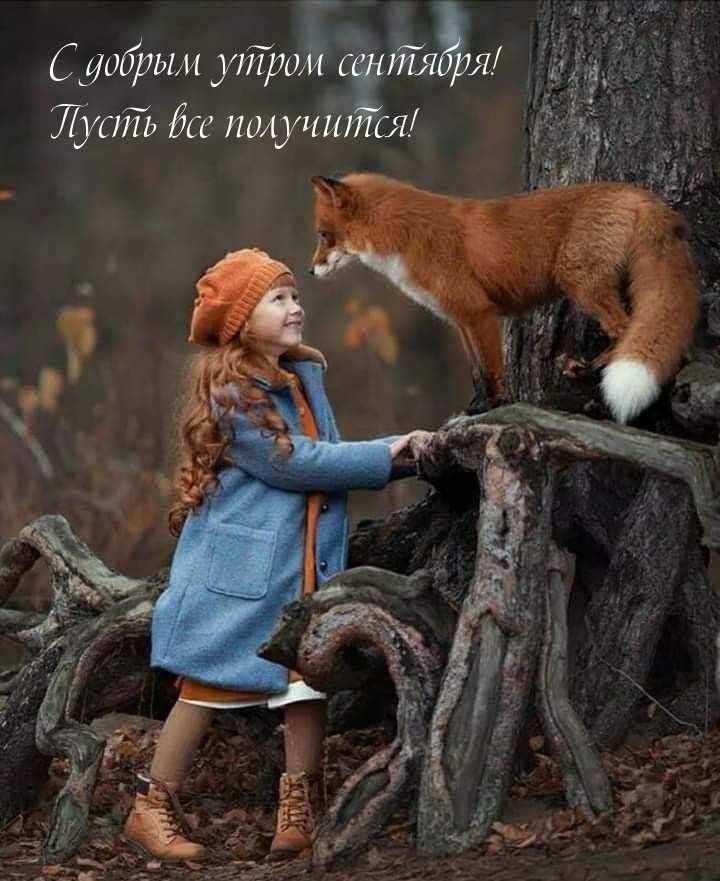 С добрым утром сентября! Пусть все получится!