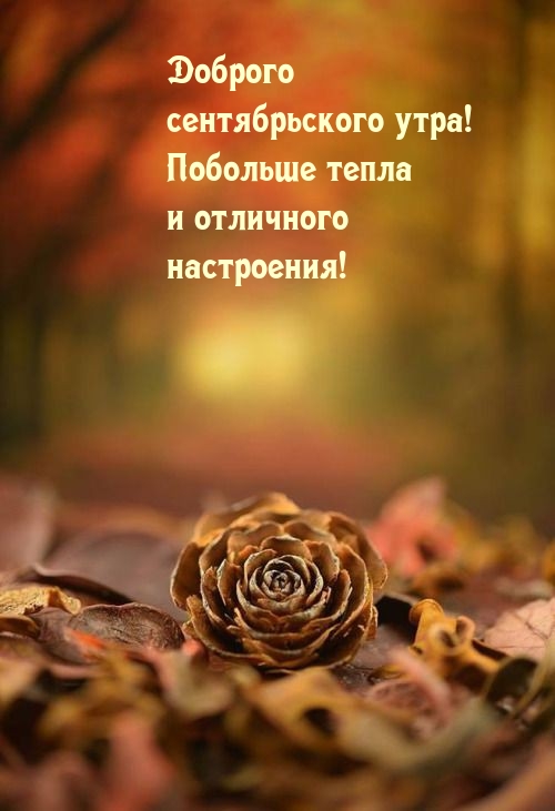 Доброго сентябрьского утра! Побольше тепла