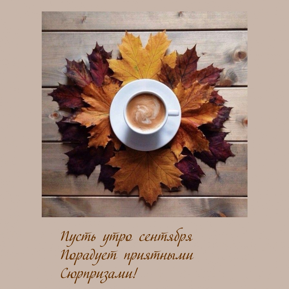 Пусть утро сентября порадует приятными сюрпризами!