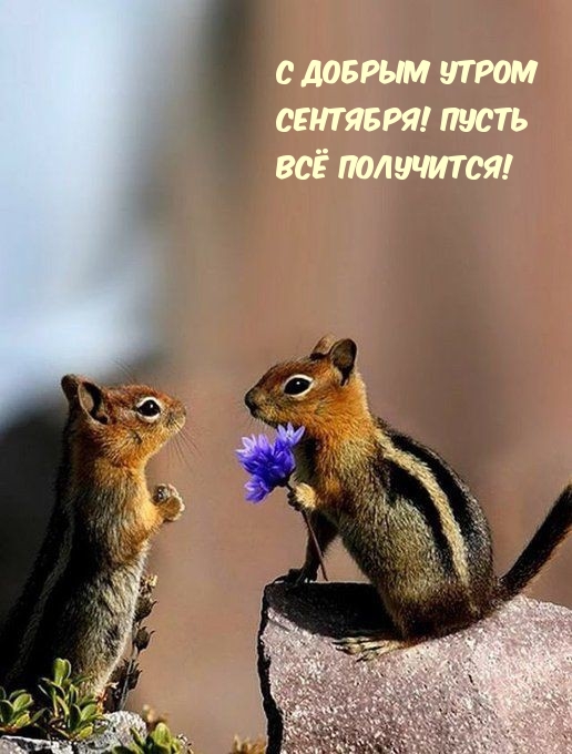 С добрым утром сентября! Пусть всё получится!