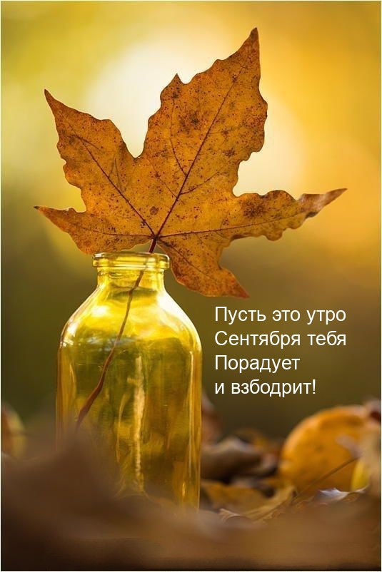 Пусть это утро Сентября тебя порадует и взбодрит!