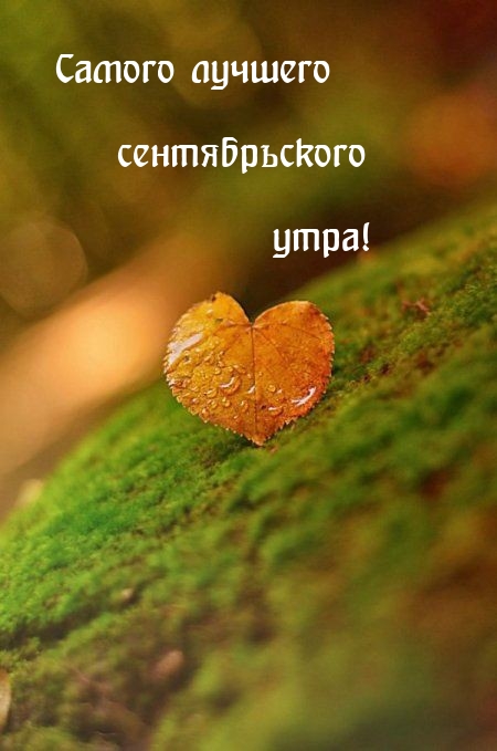 Самого лучшего сентябрьского утра!
