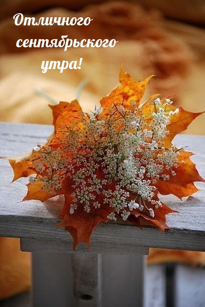 Отличного сентябрьского утра!