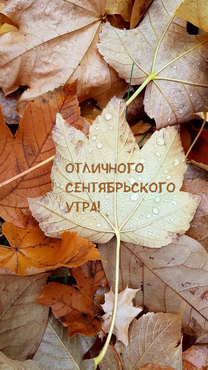 Отличного Сентябрьского Утра!