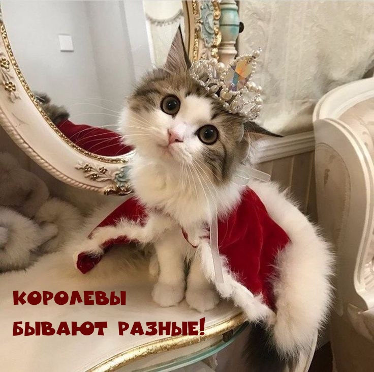 Королевы Бывают разные!