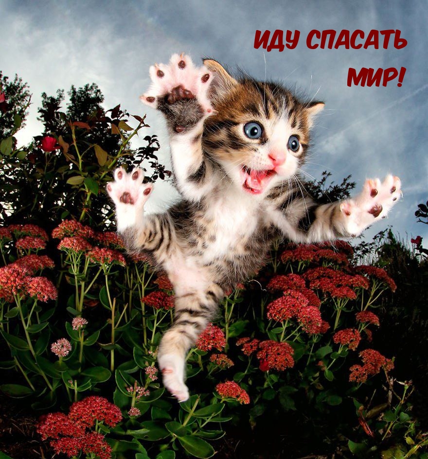 Картинки с надписями.  Иду спасать Мир!.