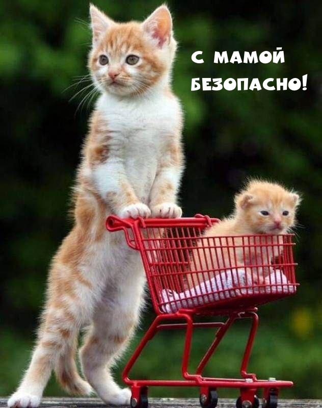 С мамой Безопасно!