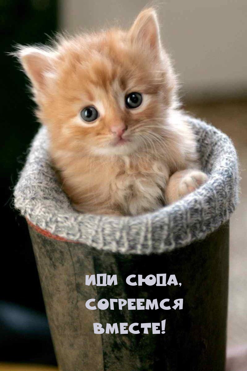 Иди сюда, Согреемся Вместе!
