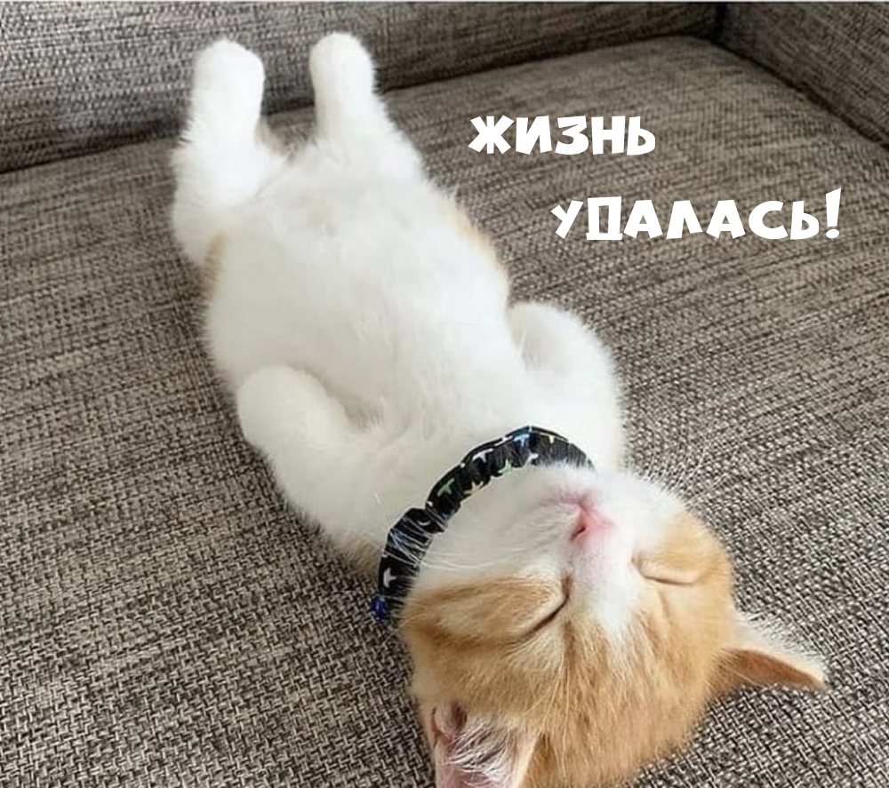 Жизнь Удалась!