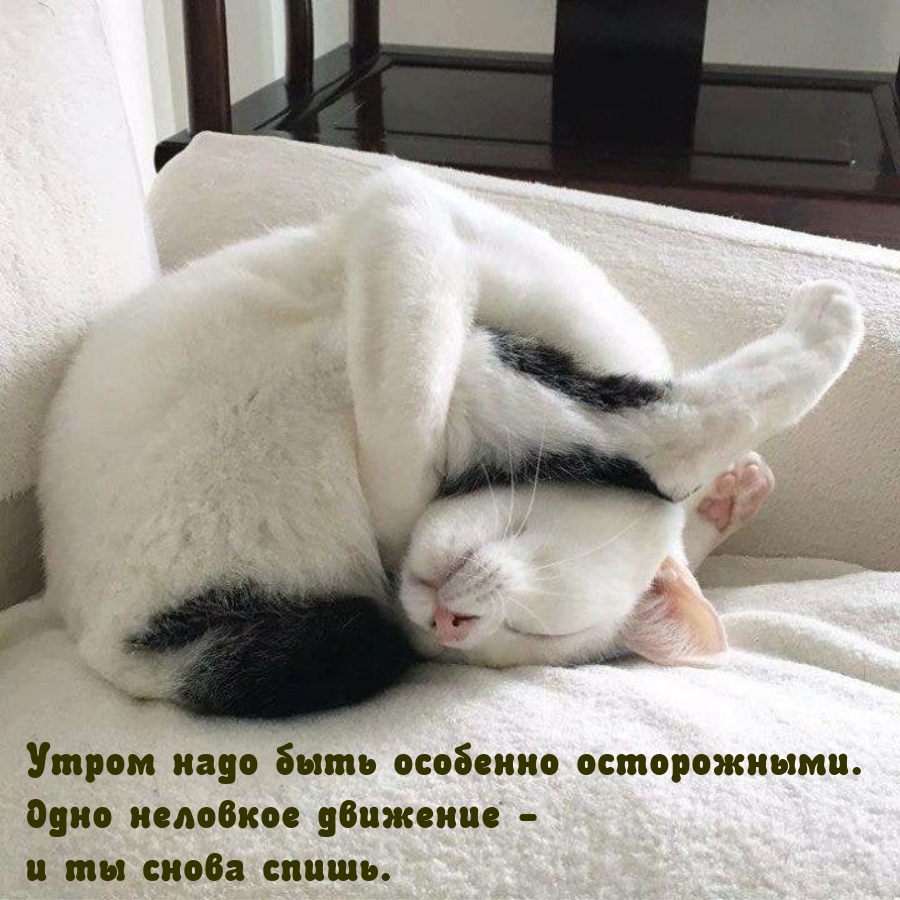 Утром надо быть особенно осторожными.