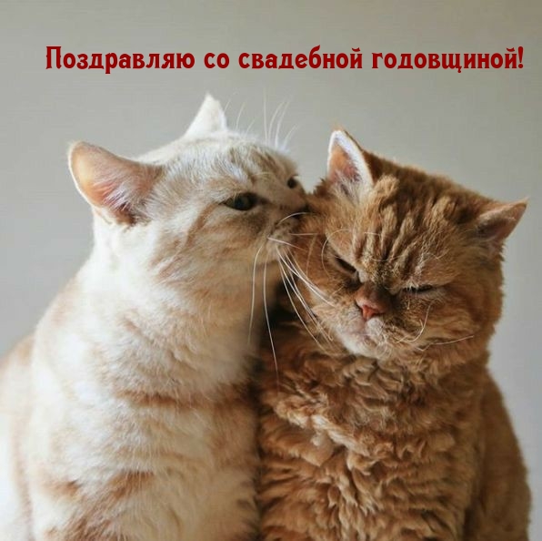Поздравляю со свадебной годовщиной!