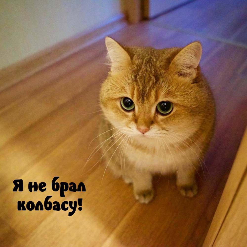 Я не брал колбасу!