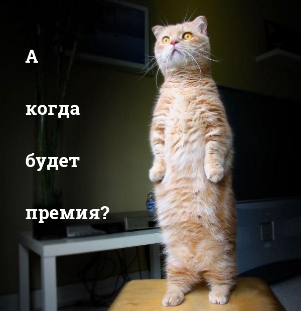 А когда будет премия?