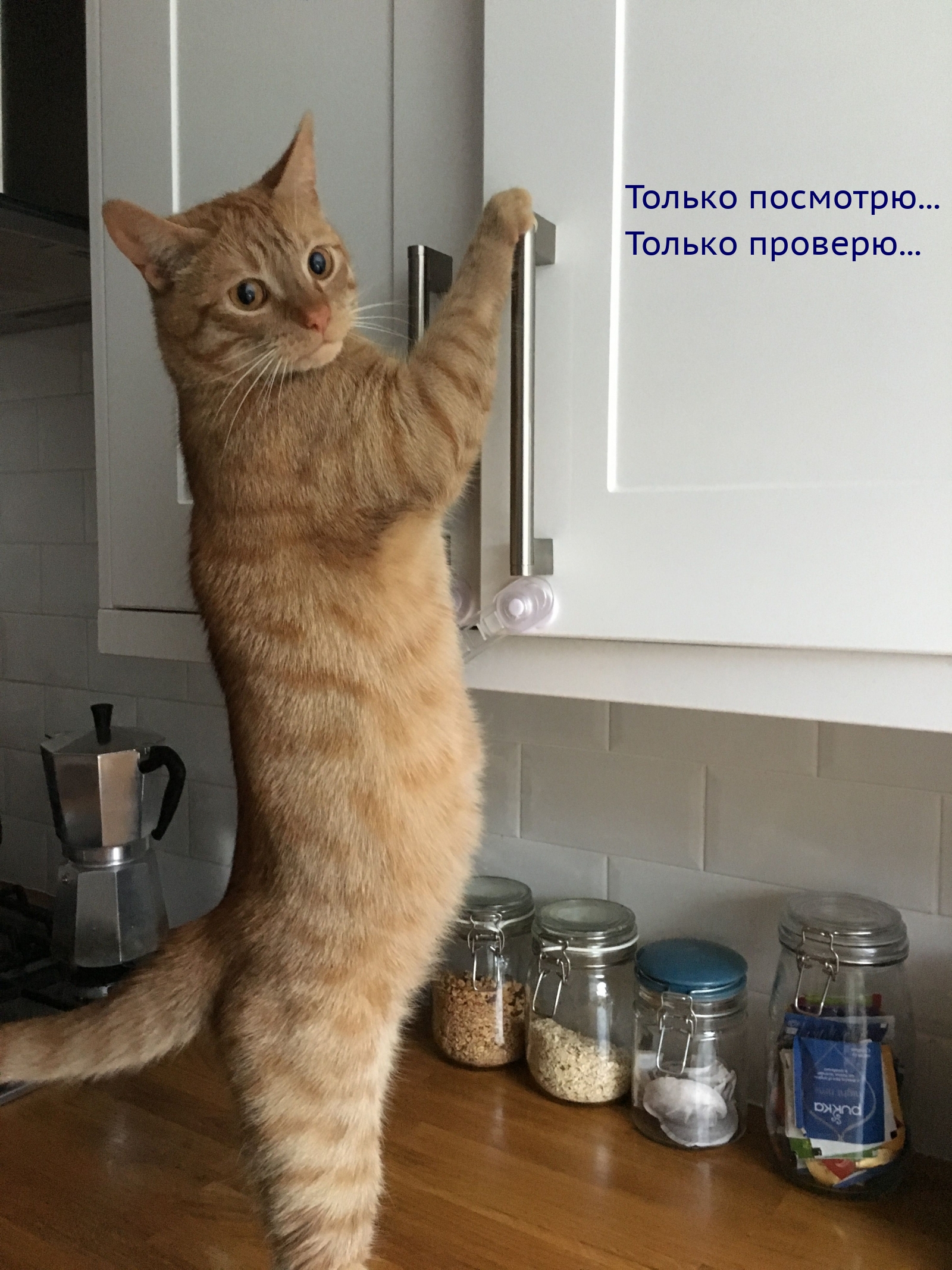 Только посмотрю… Только проверю…