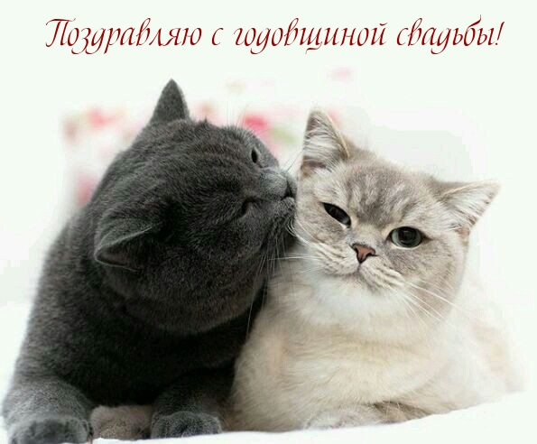 Поздравляю с годовщиной свадьбы!