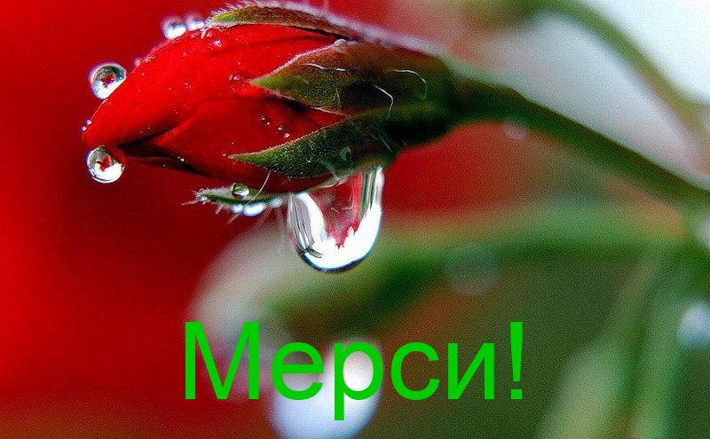 Мерси!