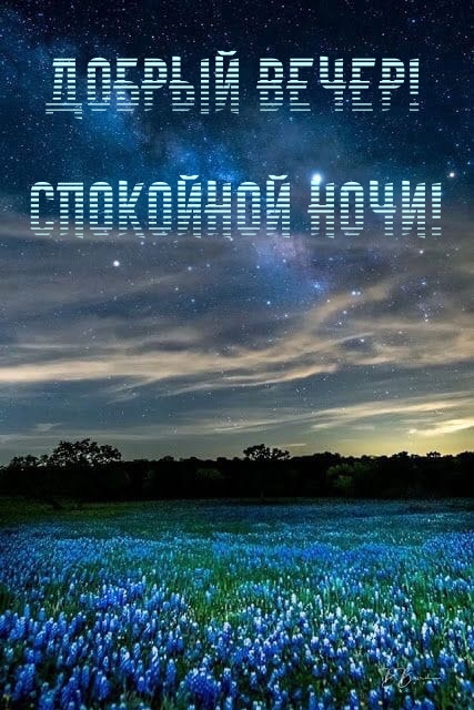 Добрый вечер! Спокойной ночи!
