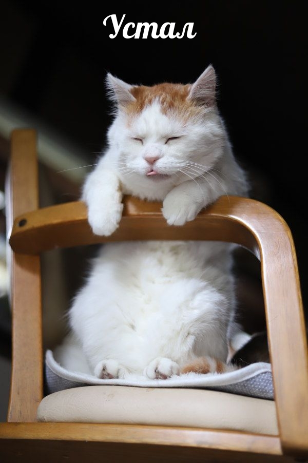 Устал