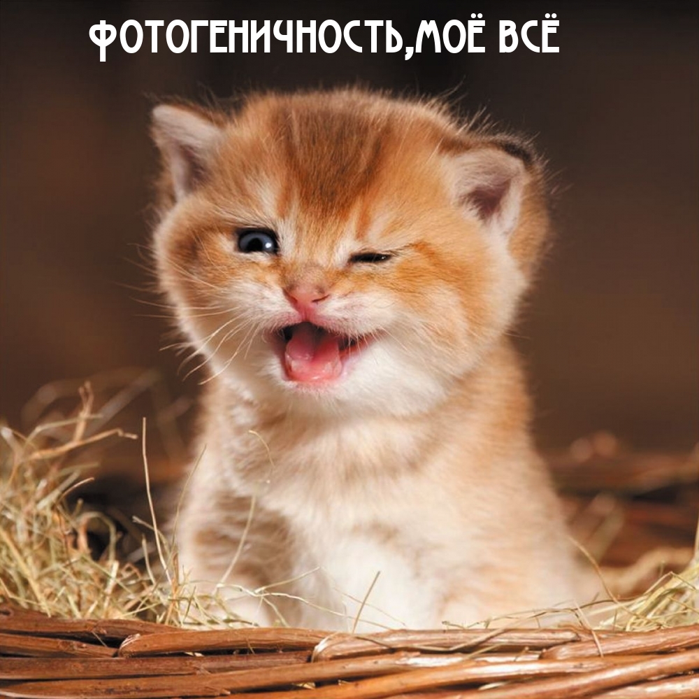 Фотогеничность, моё всё