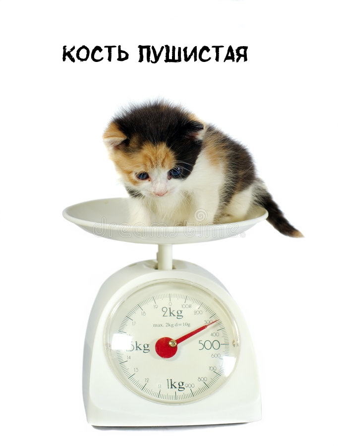 Кость Пушистая
