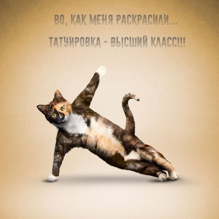 Во, как меня раскрасили… Татуировка — высший класс!