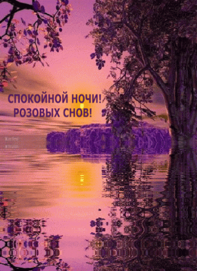 Спокойной ночи! Розовых снов!