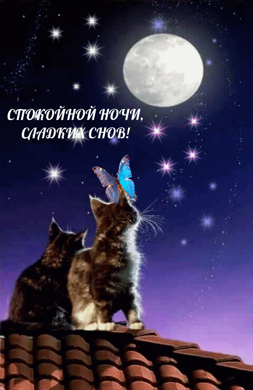 Спокойной ночи! Сладких снов