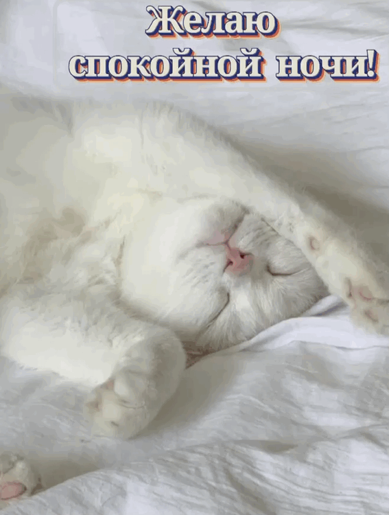 Желаю спокойной ночи!