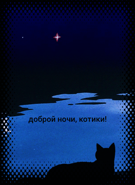 Доброй ночи, котики!