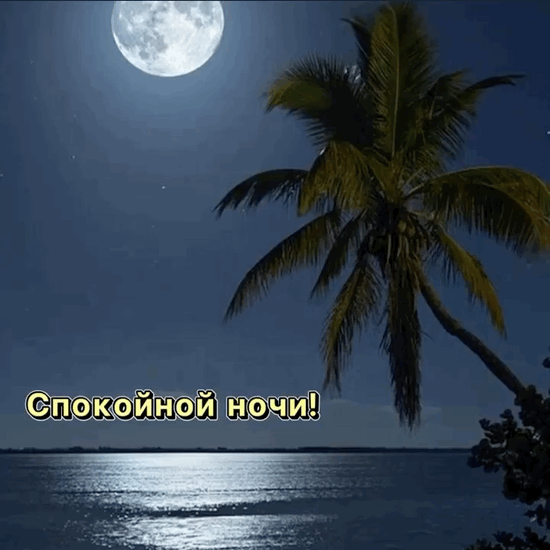 Спокойной ночи!