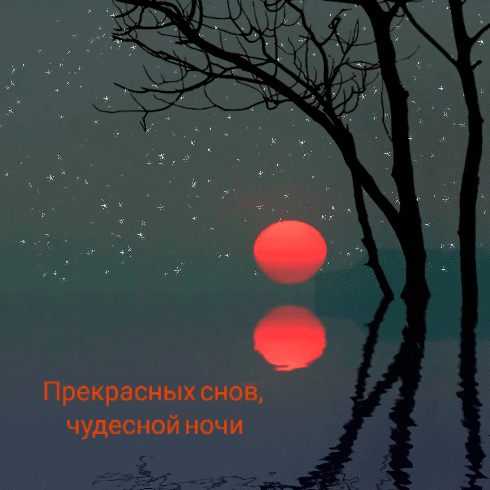 Прекрасных снов, чудесной ночи