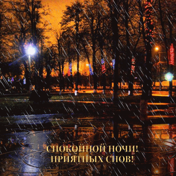 Спокойной ночи! Приятных снов!