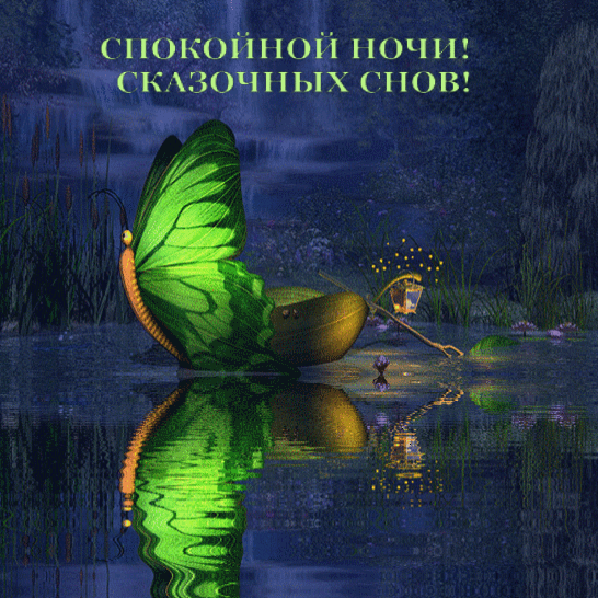Спокойной ночи! Сказочных снов!