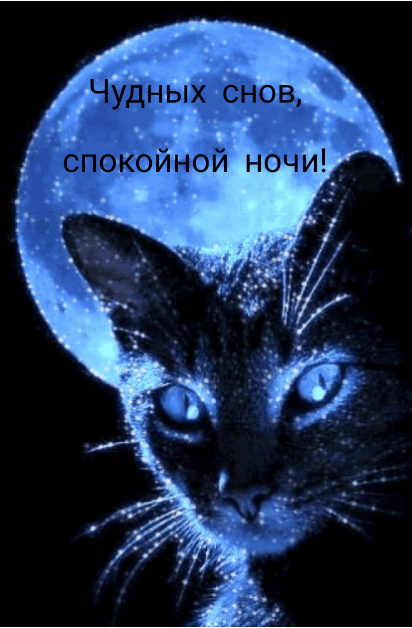 Чудных снов, спокойной ночи!